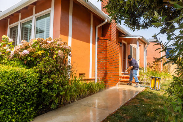 Best Affordable Power Washing  in Story City, IA