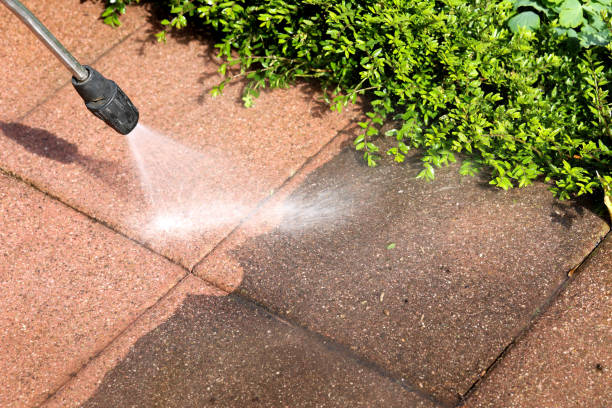 Best Exterior Home Cleaning  in Story City, IA
