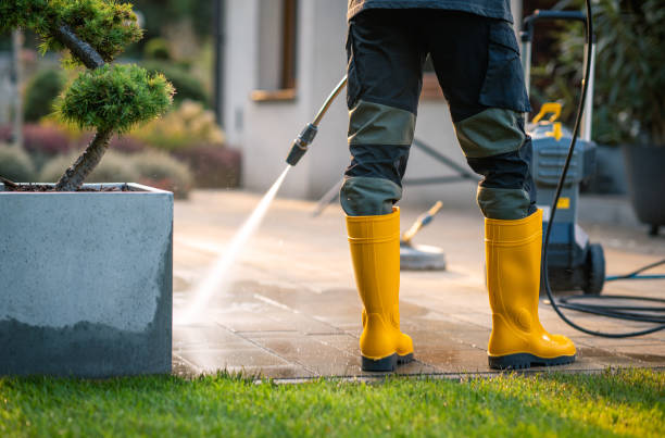 Best Deck Cleaning Services  in Story City, IA